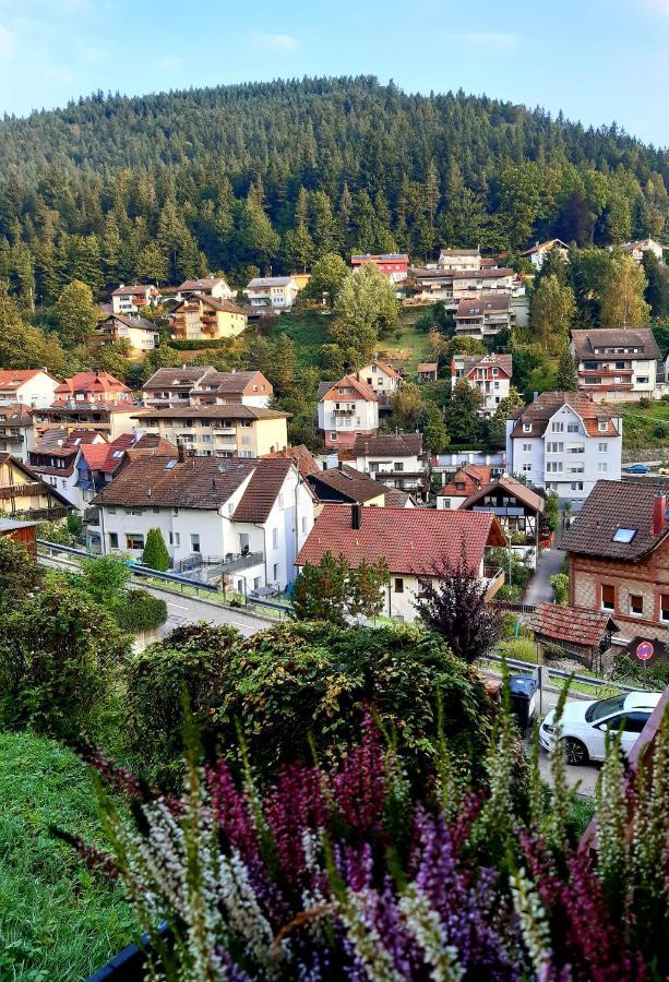 Fewo Sehl Lejlighed Bad Wildbad Eksteriør billede