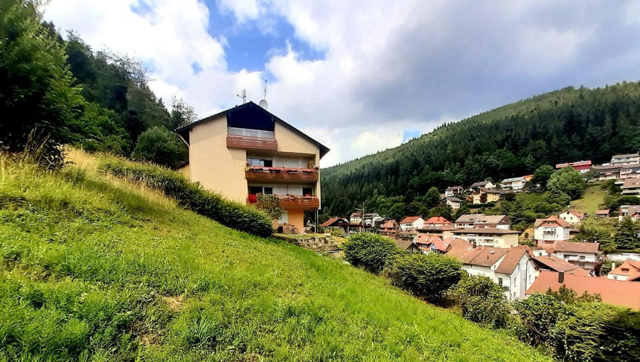 Fewo Sehl Lejlighed Bad Wildbad Eksteriør billede